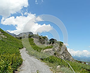 Lonely house in vineyards of saillon switzerland