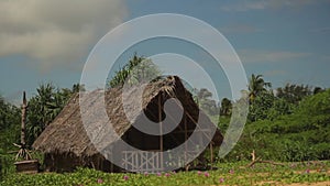 Lonely hut in the jungle. Sri Lanka. Asia.