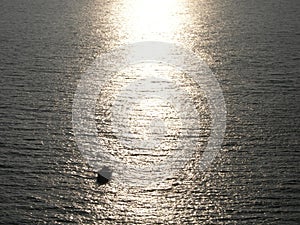 so lonely in life and ocean. Sunlight on water. photo
