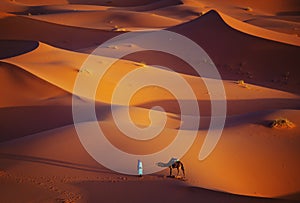 Lonely man and camel in Sahara Desert