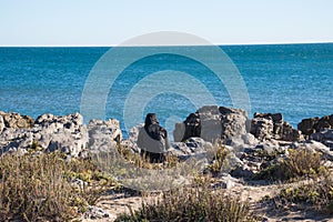 A lonely man covered with a hood is sitting on the beach.