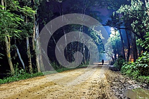 Lonely man on forest road, night landscape