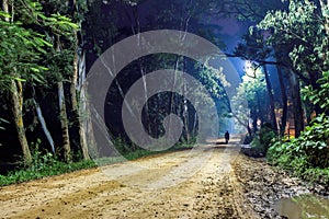 Lonely man on forest road, night landscape photo