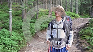 a lonely man hiker walks through the forest on the road using walking sticks, carries a large backpack, takes out his