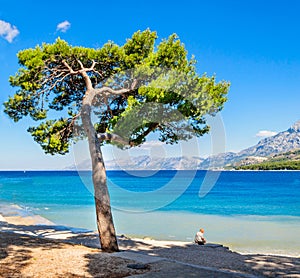 Lonely man sits under a lone tree on the seashore
