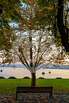 Lonely man sitting between two trees on a bench and looking at the lake.Italy, Arona.