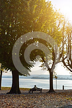 Lonely man sitting between two trees on a bench and looking at the lake.