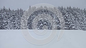 Lonely Man Snowmobiling in The Powder Snow