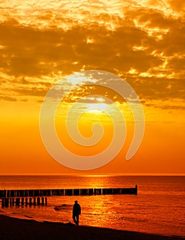 Lonely man walking on the beach