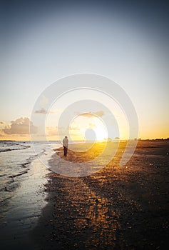 Lonely man walking on the beach at sunset