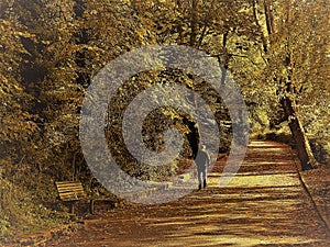 Lonely man walking by an empty bench in an autumn forest park.