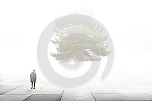 Lonely man walks towards a big tree in a city surrounded by fog