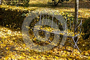 A lonely metal bench in a park full of fallen leaves in autumn awaits whoever sits on it photo