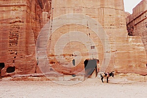 Lonely mule in petra jordan