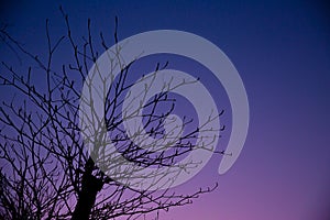 Lonely night, summer fall season beautiful dusk sky.