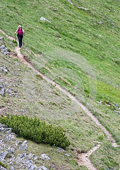 Lonely Nordic Walking