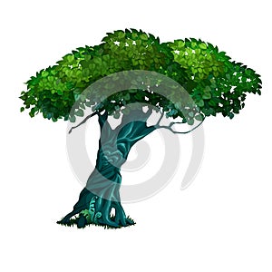 Lonely old deciduous tree isolated on white background. Vector cartoon close-up illustration.