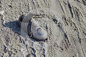 Old shoe on the beach