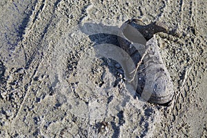 Old shoe on the beach