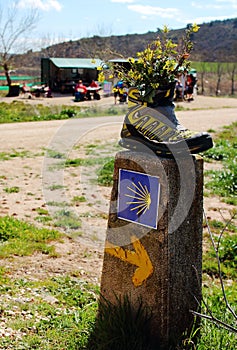 A lonely old yellow hiking boot with flowers on top placed over a stone sign of Camino de Santiago, Navarra, Spain