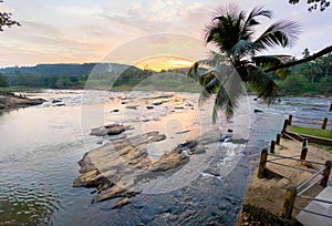 Lonely palm tree with wide angle rocky river sunset landscape with jungle banks in Pinnawala Elephant Orphanage