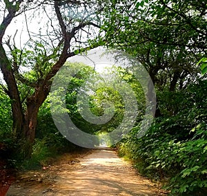 A lonely path, Khushab Pakistan