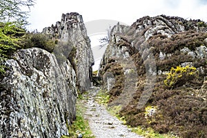 Lonely path leading into the mountain gorge