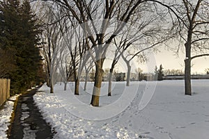 Lonely Path Moody Weather Winter Blues Public Park Calgary Alberta