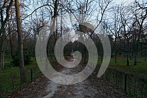 Lonely path in the Retiro Park in winter.