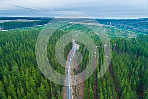 Lonely person walking on rural road among pine trees forest.