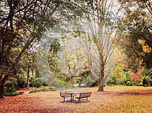 Lonely picnic table in beautiful garden