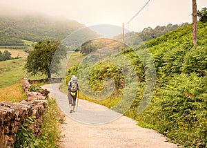 Lonely Pilgrim with backpack walking the Camino de Santiago photo