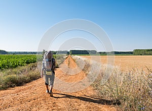 Lonely Pilgrim with backpack walking the Camino de Santiago in Spain, Way of St James photo