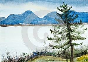 lonely pine tree over the lake