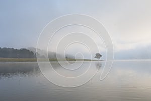 Lonely pine tree reflection on the lake at dawn part 3