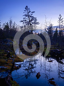 Lonely Pine tree on the rocky area by the lake. Republic of Karelia. Northern nature