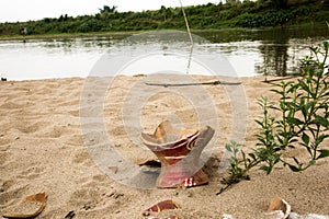 A lonely plant and a broken pot in the sand of a river-bank
