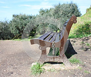 A lonely public park on a beautiful spring day. a wooden bench rests in the green garden next to an olive grove. on one side photo