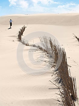 Lonely on a quiet beach