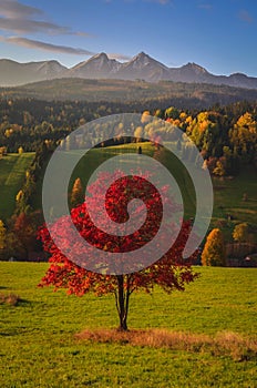 Beautiful autumn rural landscape.