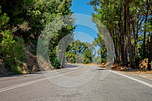 Lonely road with curve in a forest