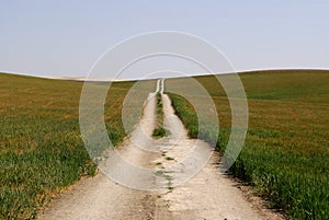 Lonely road in the field