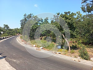 A lonely road  in a forest, it& x27;s Panchmarhi, Madhya Pradesh