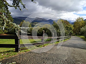 Lonely road through the forest. Wooden fence on a beautiful autumn scenery. Horizontal view