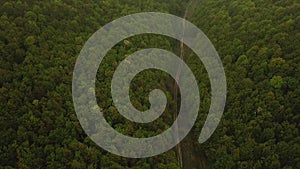 The lonely road in the green forest aerial shot