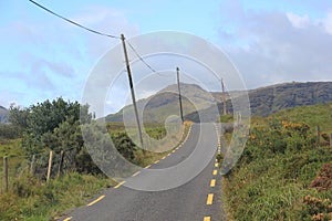 A road in Irland photo