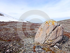 Lonely rock