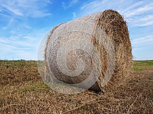 Lonely roll of hay in a field
