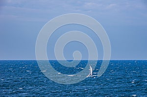Lonely Sailboat Out On The Sea