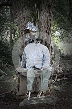 Lonely scarecrow sits under tree shade in the dark